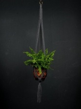 Hand Crafted Macrame Plant Hanger in Charcoal by Hanga